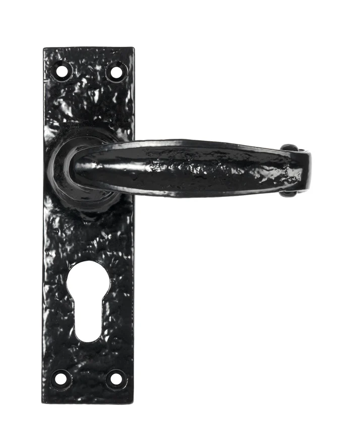 FTA 46573 BLACK LEVER EURO LOCK SET