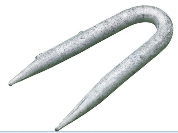 STAPLES - GALV PRESSER POINT 30 X 3.55MM (1KG BAG)