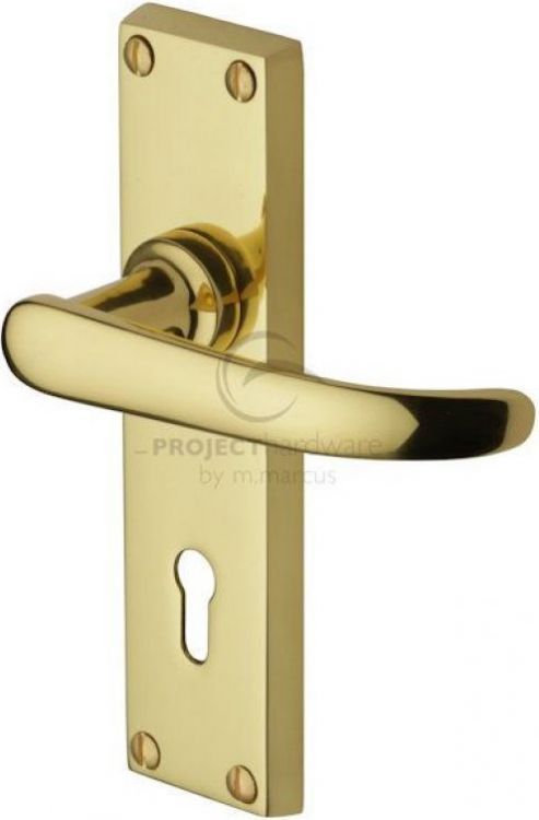 VICTORIAN STRAIGHT LEVER LOCK ON PLATE POLISHED BRASS