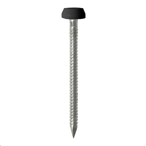 A4 STAINLESS STEEL POLYMER HEADED PINS BLACK 40MM