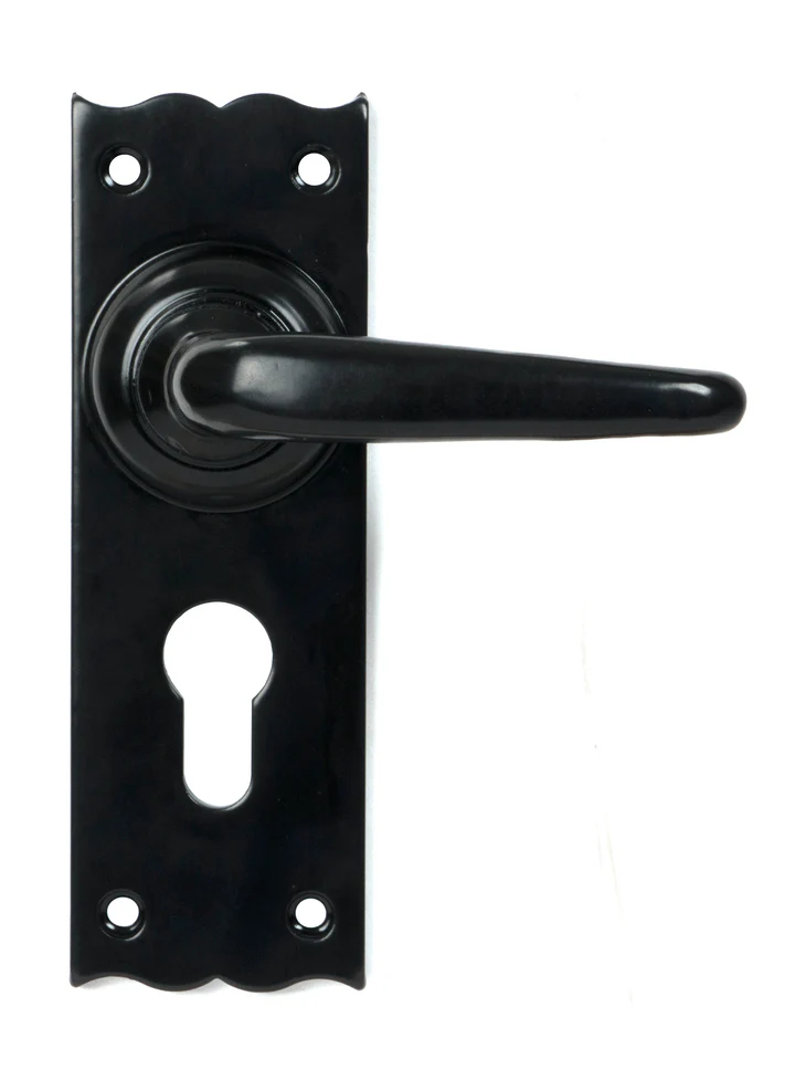 FTA 46570 BLACK OAK LEVER EURO LOCK SET